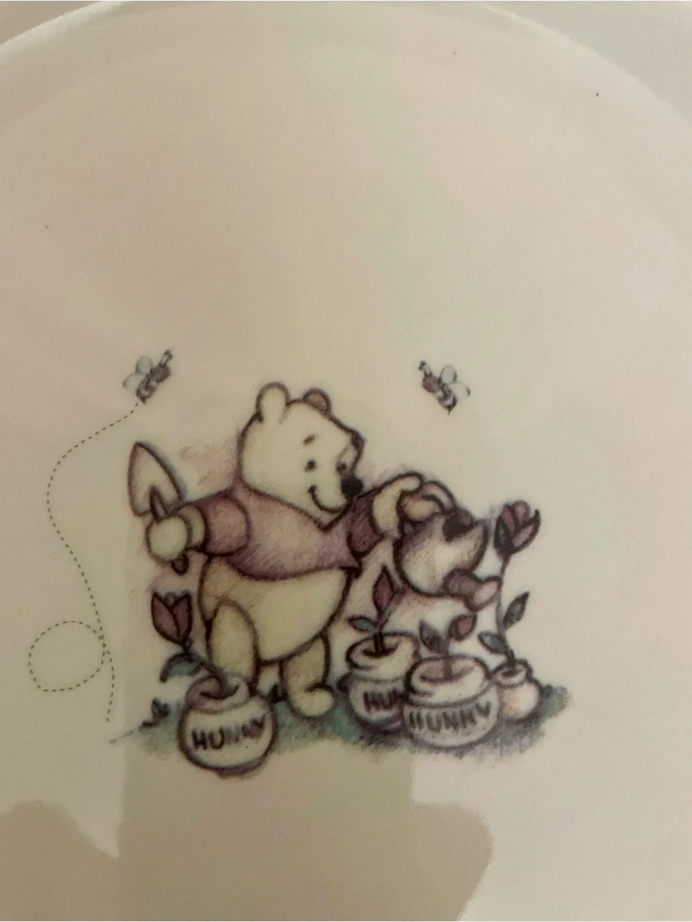 Disney Winnie the Pooh Fall/Autumn themed 100 acre woods VTG dinner plate